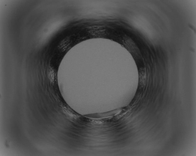 X0000097480574200803201512