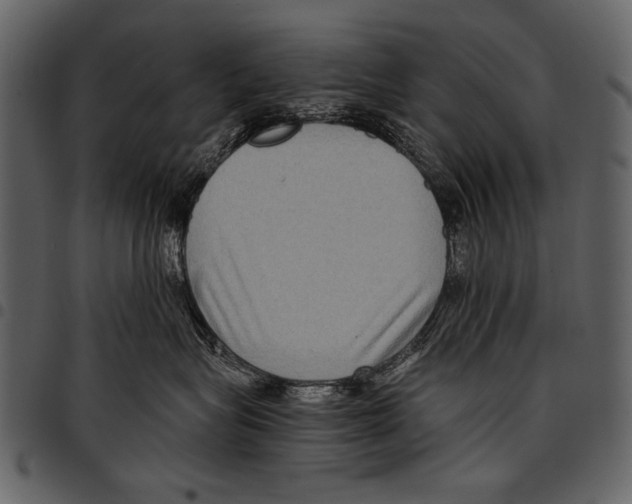 X0000097480575200803201512