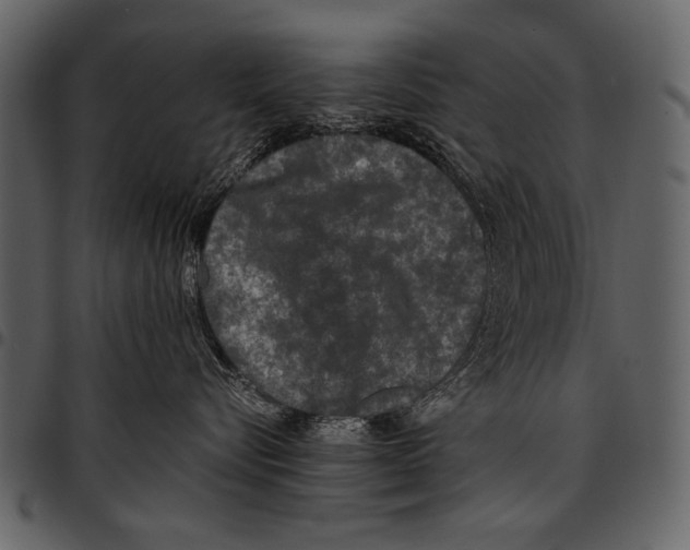 X0000097480576200803201512