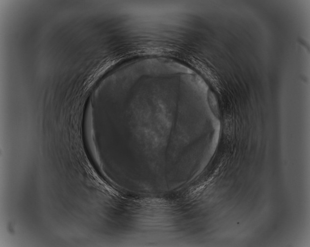 X0000097480577200803201511