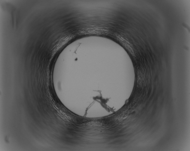 X0000097480578200803201511