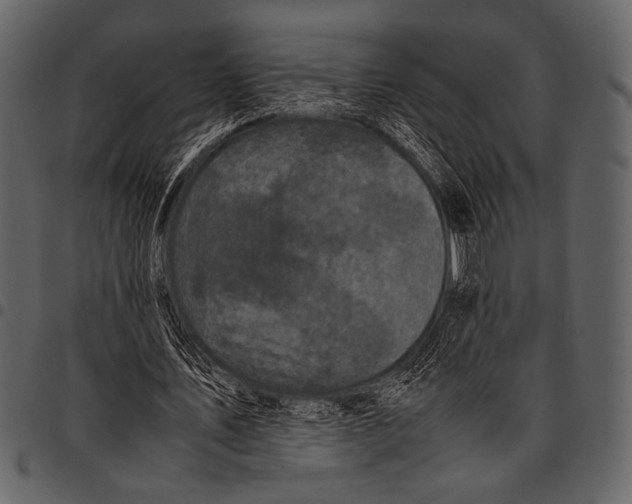 X0000097480579200803201511