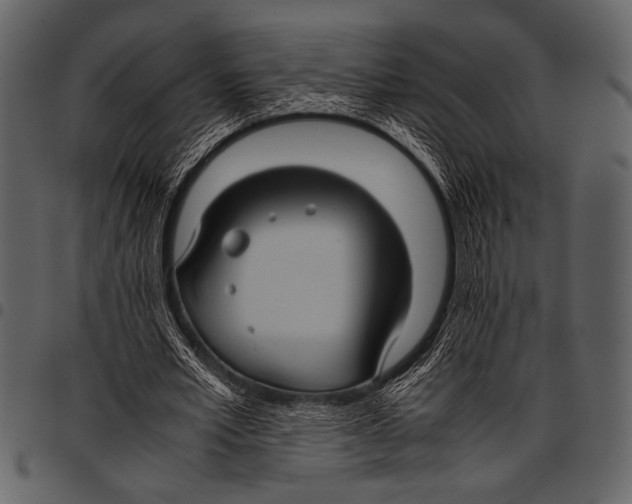 X0000097480581200803201511