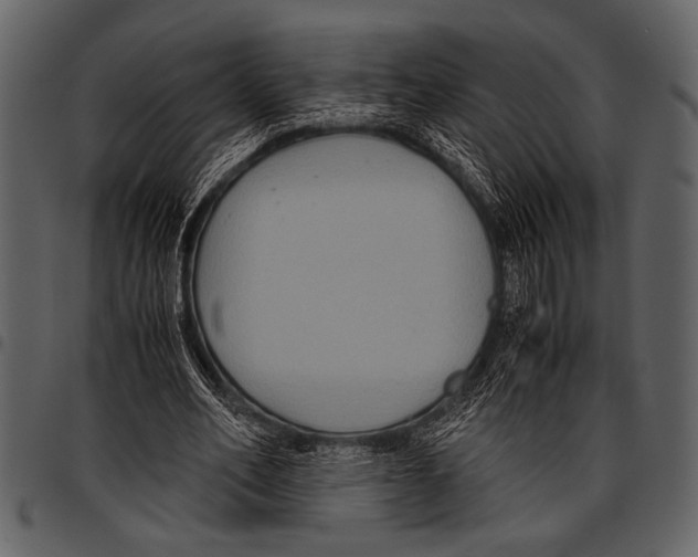 X0000097480582200803201511