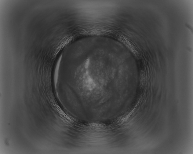 X0000097480585200803201511