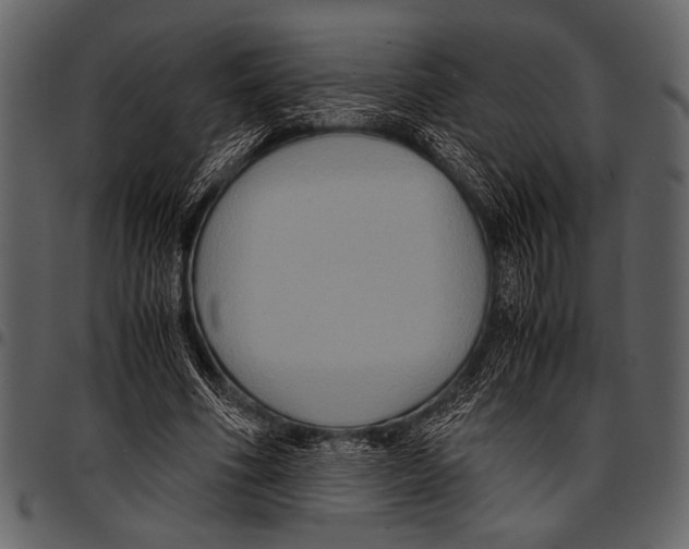 X0000097480586200803201511