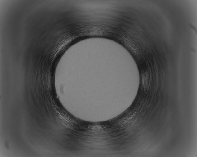 X0000097480588200803201511