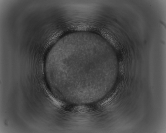 X0000097480589200803201511