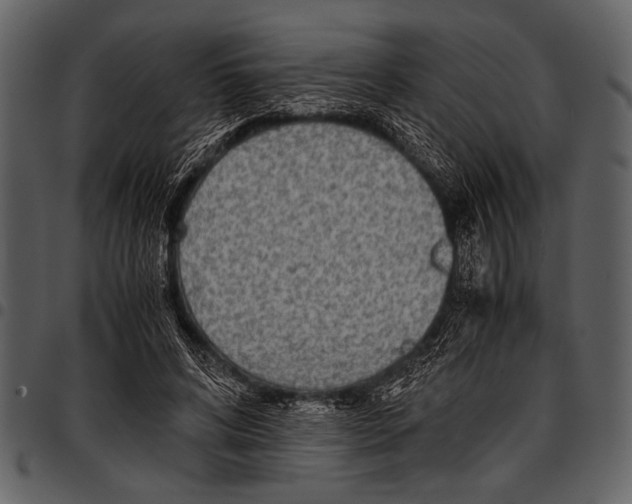 X0000097480592200803201511