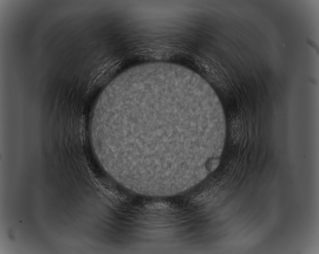 X0000097480594200803201511