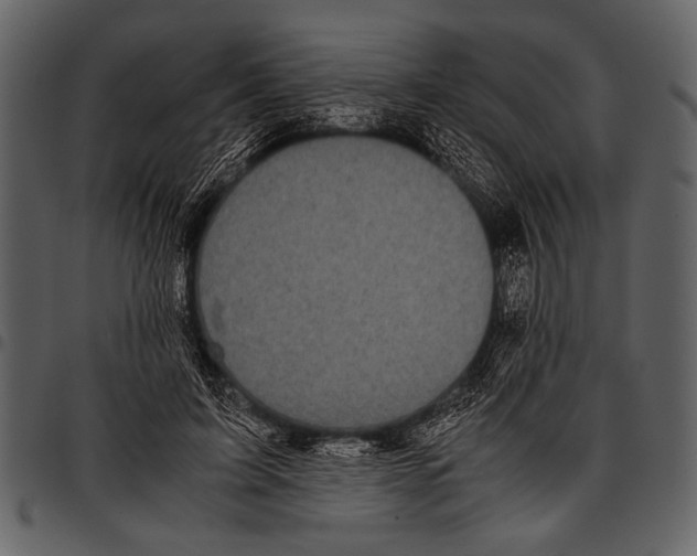 X0000097480595200803201511