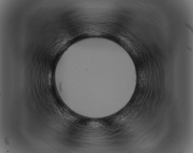 X0000097480596200803201511