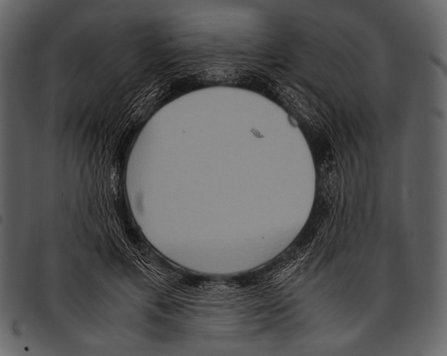 X0000097480597200803201511