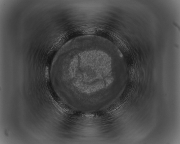 X0000097480598200803201511