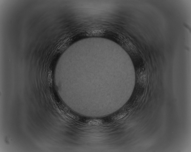 X0000097480599200803201511