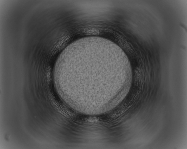 X0000097480600200803201511