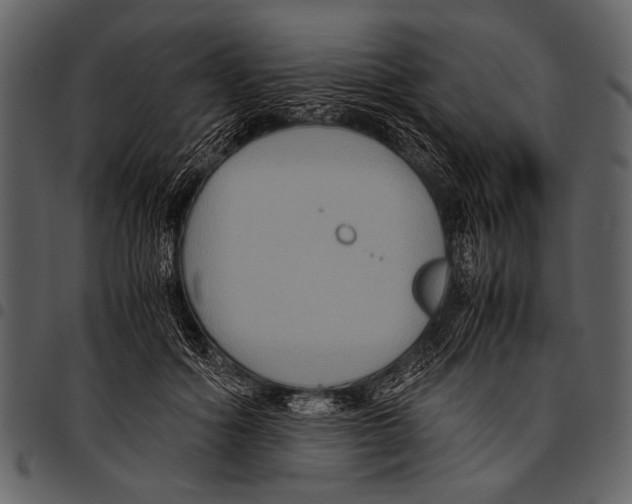 X0000097480602200803201511