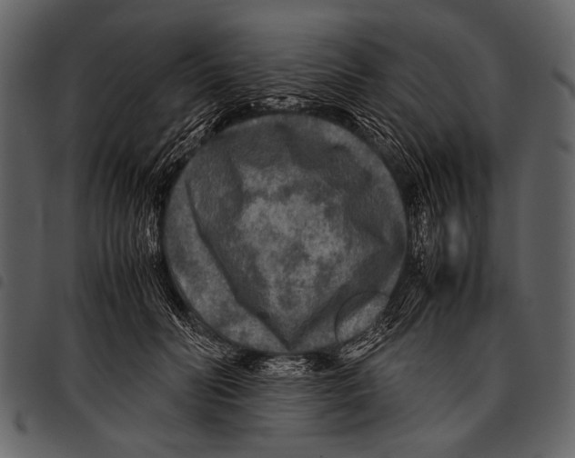 X0000097480606200803201511