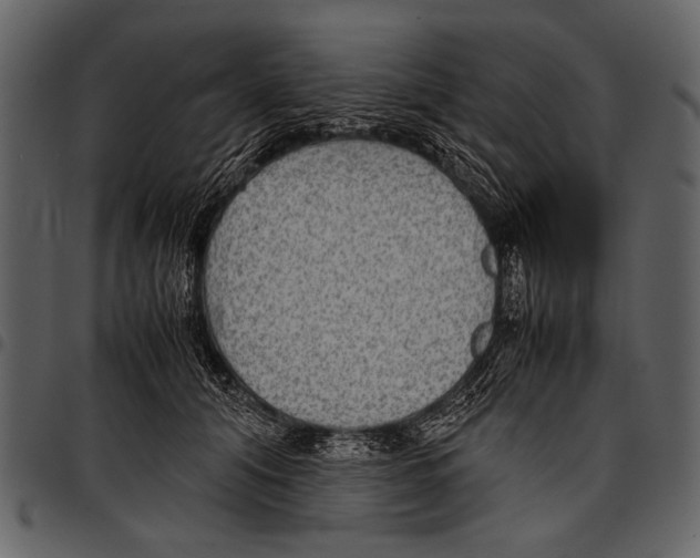 X0000097480608200803201511