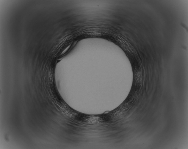 X0000097480609200803201511