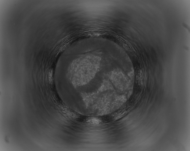 X0000097480610200803201511