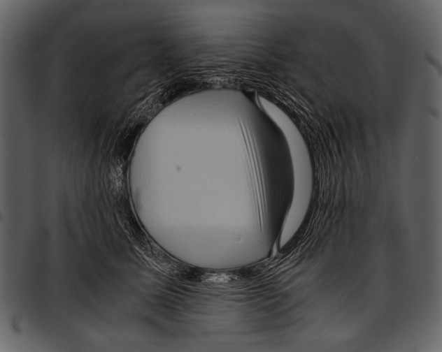 X0000097480611200803201511