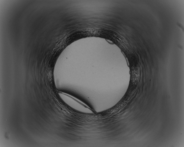 X0000097480613200803201511