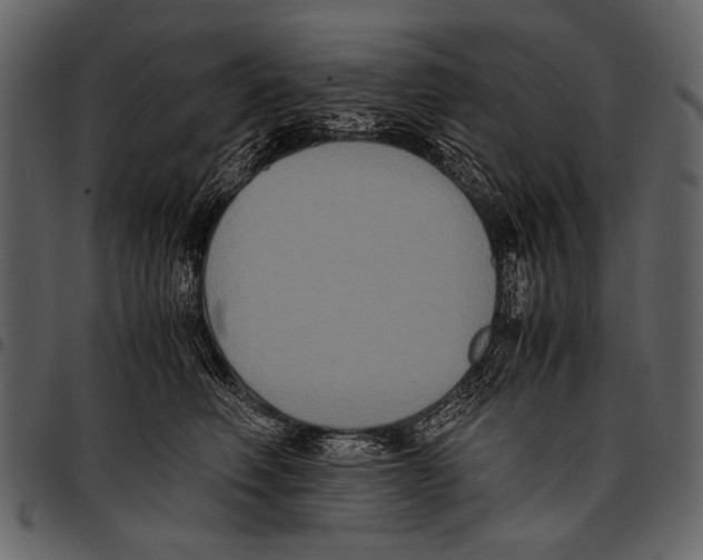 X0000097480614200803201511