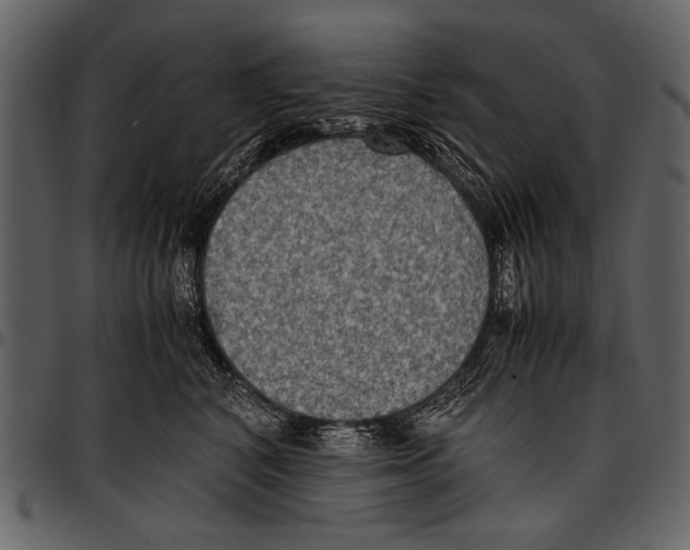 X0000097480616200803201511