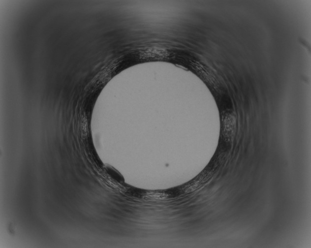 X0000097480617200803201510