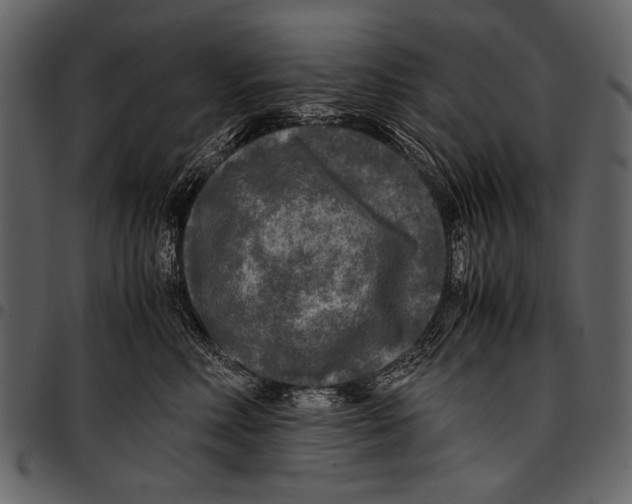 X0000097480618200803201510