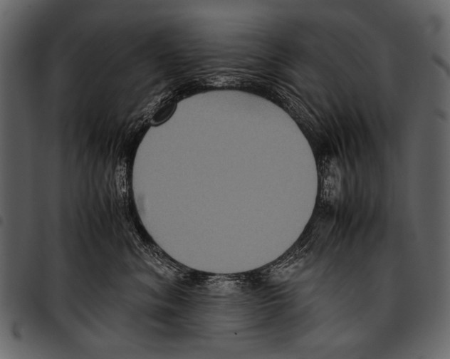 X0000097480620200803201510