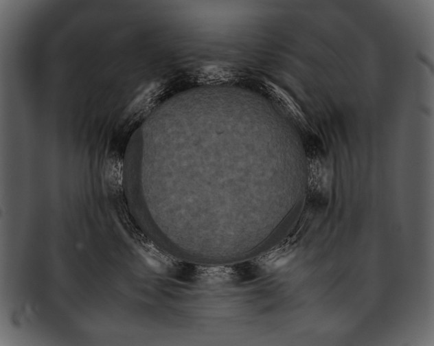 X0000097480621200803201510