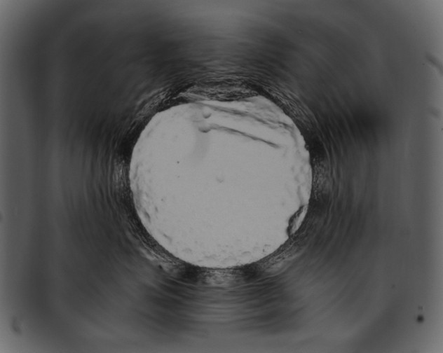 X0000097480623200803201510