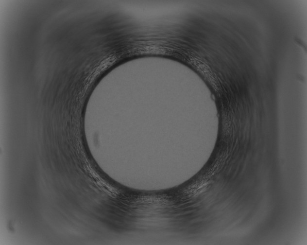 X0000097480625200803201510