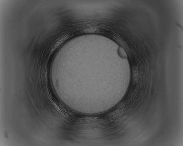 X0000097480626200803201510