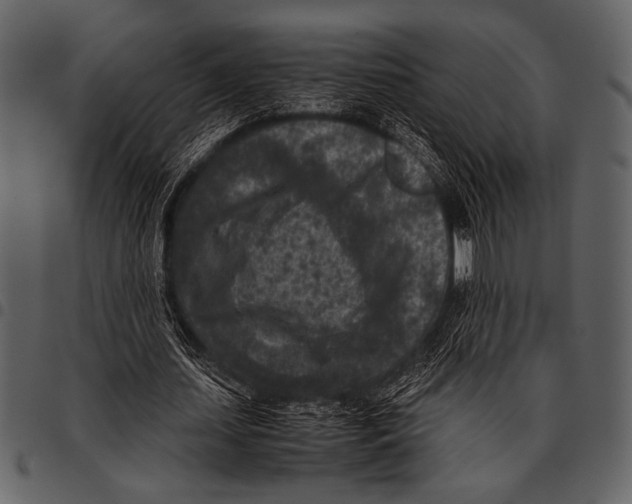 X0000097480627200803201510