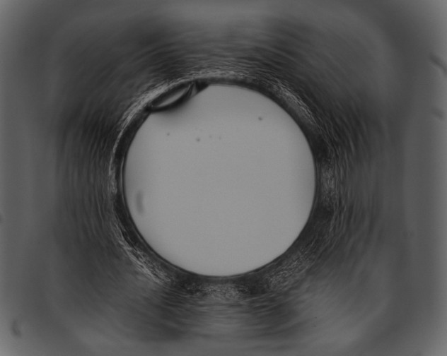 X0000097480628200803201510