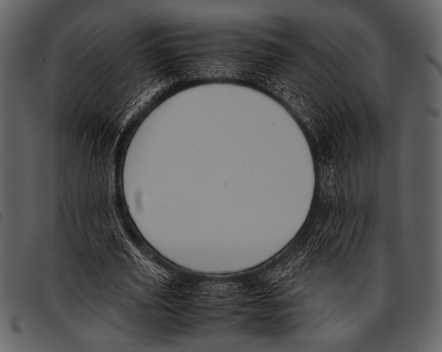 X0000097480629200803201510