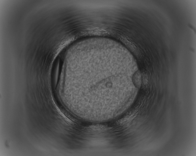 X0000097480630200803201510