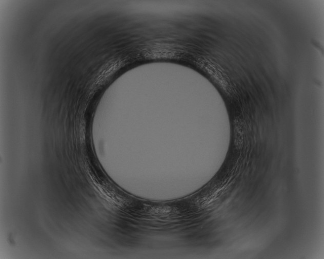 X0000097480631200803201510