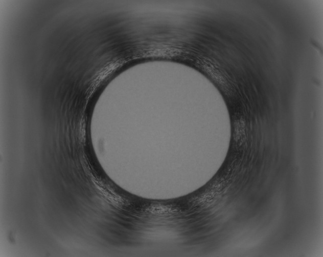 X0000097480632200803201510