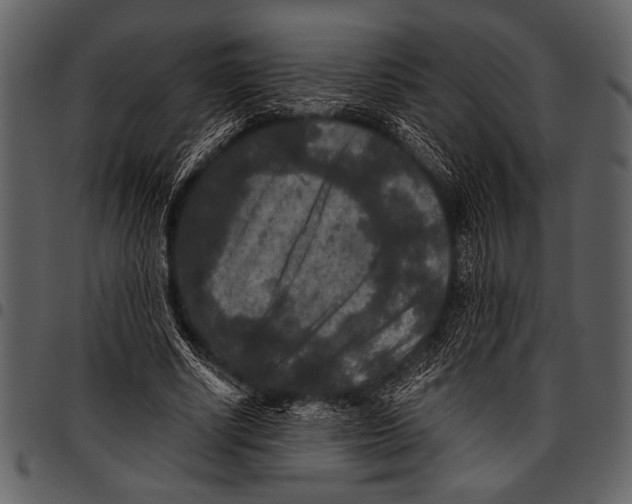 X0000097480634200803201510