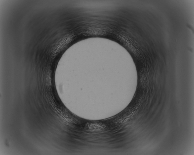 X0000097480635200803201510