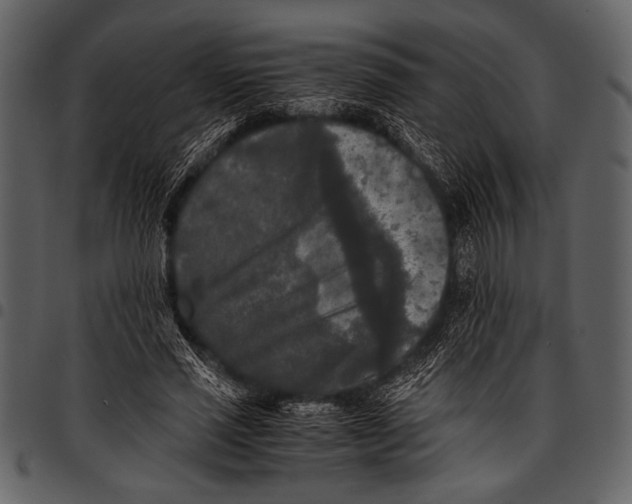 X0000097480637200803201510