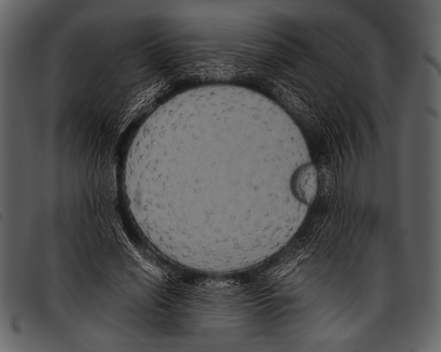 X0000097480638200803201510