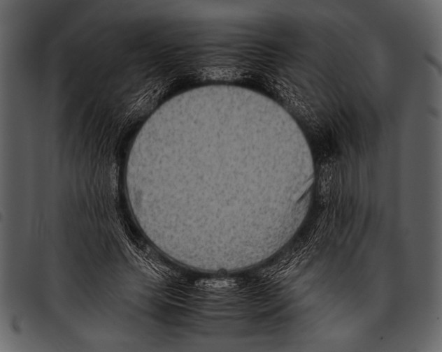 X0000097480639200803201510