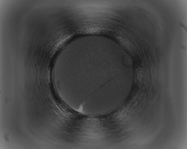 X0000097480640200803201510