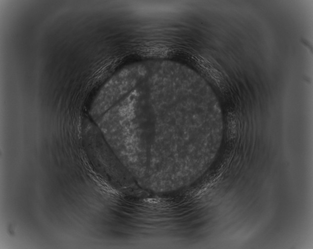 X0000097480641200803201510