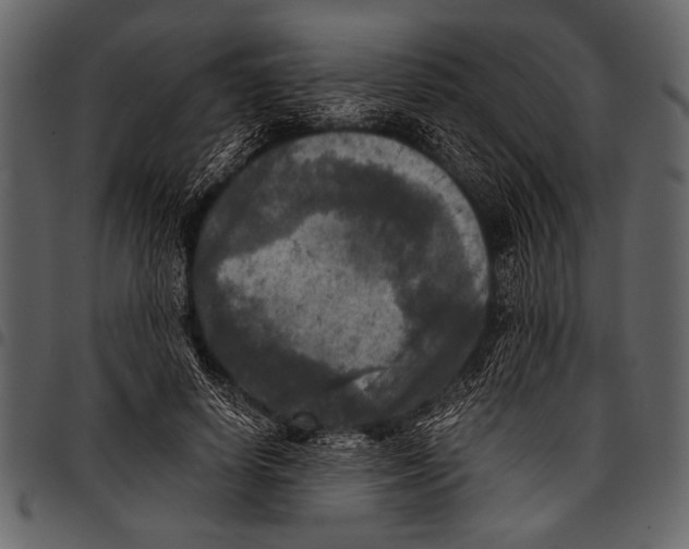 X0000097480642200803201510